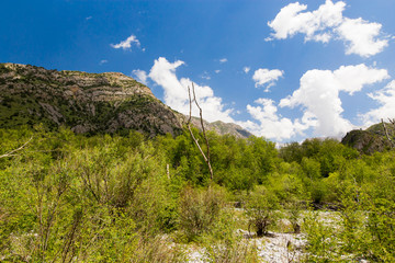 Beautiful nature in the Himalayas in spring