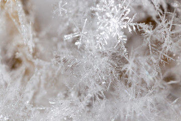 Fototapeta premium Small snowflakes on nature as background