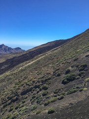 Geröll und Büsche am Hang des Teide Vulkans