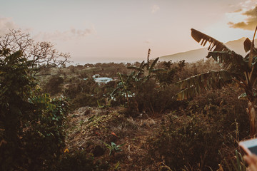 Guadeloupe - caribbean love