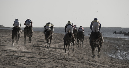Carrera de caballos en Sanlucar de Barrameda