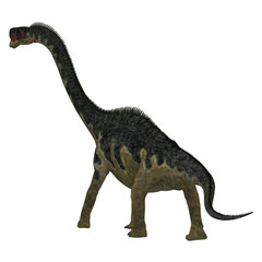 Europasaurus Dinosaur Tail - Europasaurus was a sauropod herbivorous dinosaur that lived in Germany, Europe during the Jurassic Period.