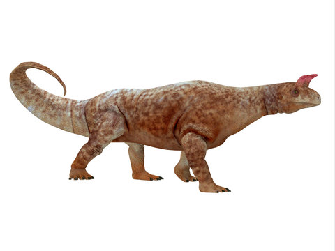 Shringasaurus Dinosaur Side Profile - Shringasaurus was a herbivorous sauropod dinosaur that lived in India in the Triassic Period.