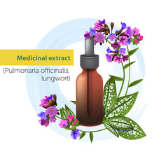 Medical extract of Pulmonaria officinalis © Татьяна Зазулина