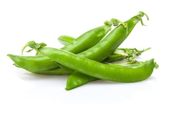 Green Pods on white