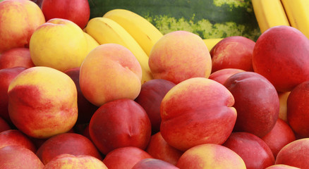 Fruit background. Nectarines, bananas and watermelon