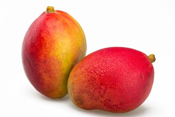 Shiny fresh Mangos