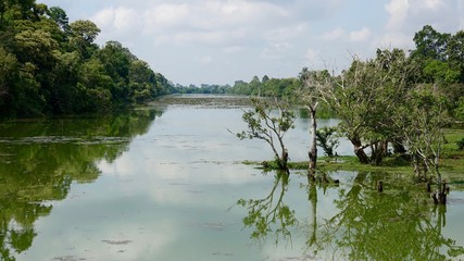 Landschaft bei Ankgor bei Siem Reap in Kambodscha