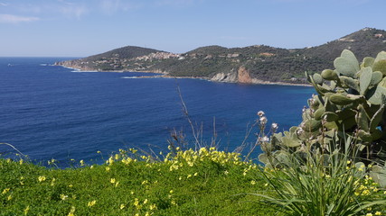 Fototapeta na wymiar Corsische Küste bei Cargèse