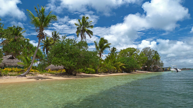 Beach in Tonga