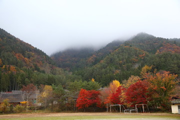 Obraz premium Yellow, orange and red autumn leaves in beautiful village. playground in Fall season. seiko lake japan. mountain in a mist