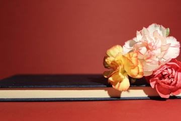 Blaues Buch mit drei Nelken
