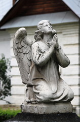Naklejka premium Praying angel