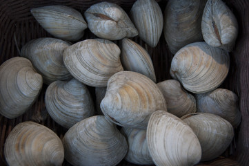 Mussels in shells at the Normandy Bazaar in March