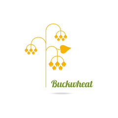 Icon of buckwheat.