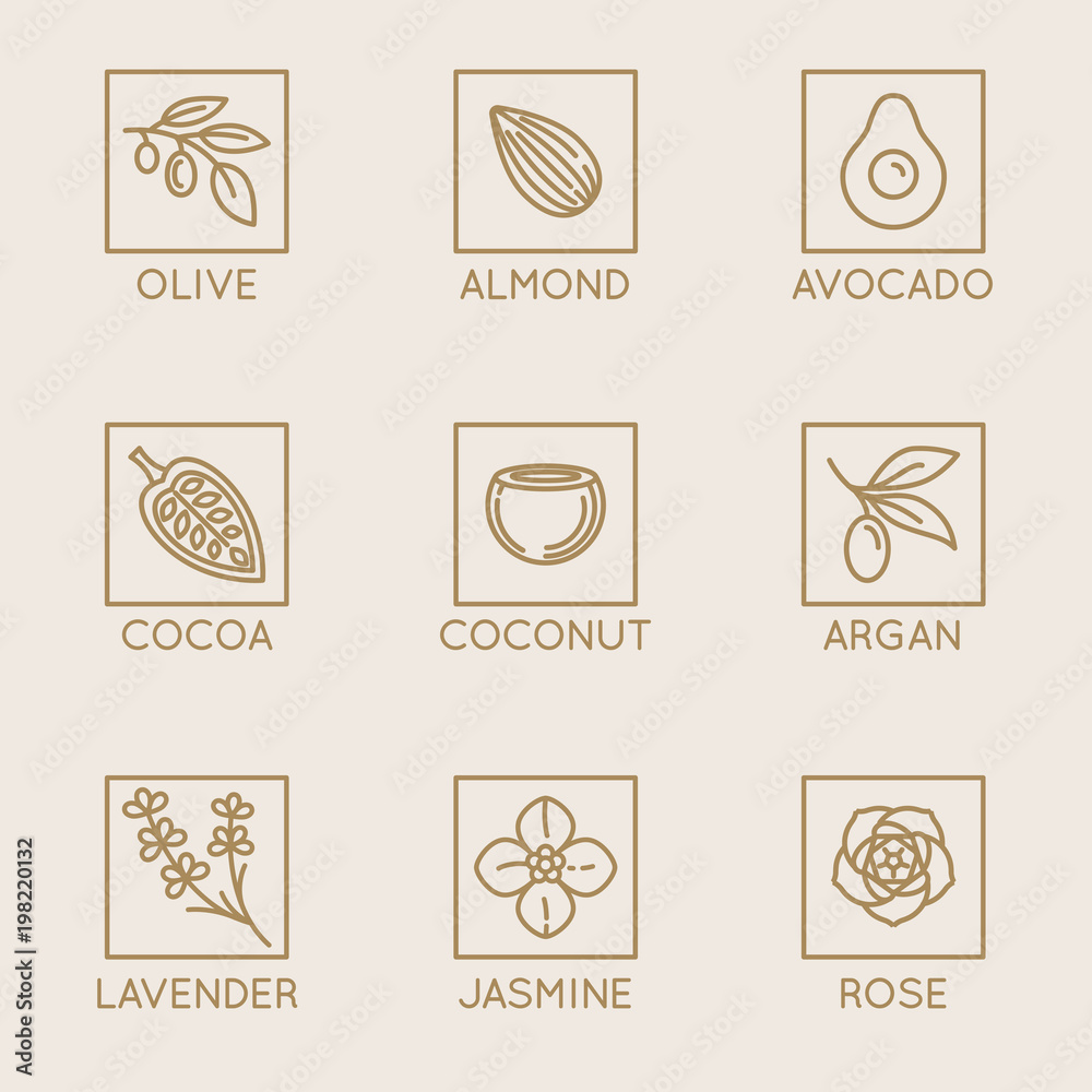 Poster vector set of natural ingredients and oils for cosmetics in linear style - packaging design template