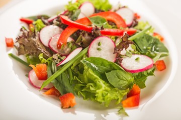 Fresh spring salad with vegetable