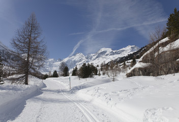 percorrendo la valle del morterasch svizzera