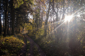 Fototapeta premium Über die Felder und Wiesen von Hennef