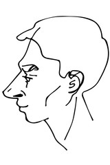 vector sketch of a beautiful man profile
