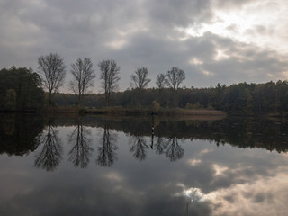 Im Naturschutzgebiet Gegelbestand