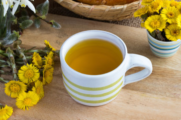 Coltsfoot (Tussilago farfara) tea with fresh coltsfoot flowers on a table