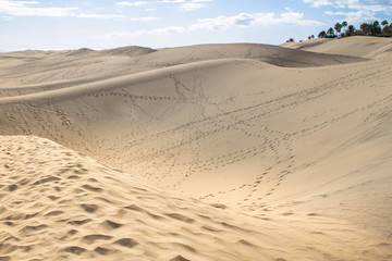 Maspalomas Sand Dune Desert, Grand Canaria