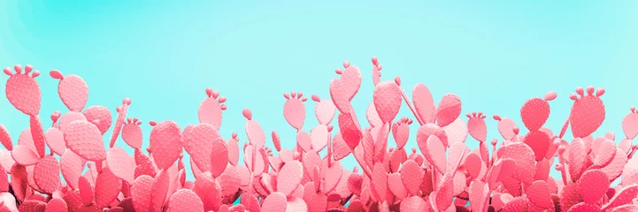 Ungewöhnliches rosafarbenes Kaktus-Feld auf Türkishintergrund © artjafara