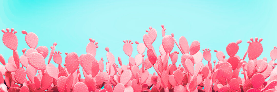 Unusual Pink Cactus Field On Turquoise Background