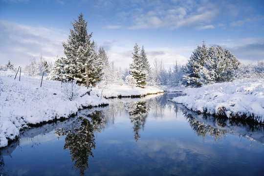 Scenic view of trees by stream amidst snow covered field