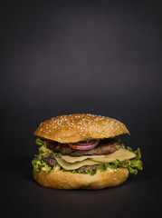 Delicious burger studio shot on a black background