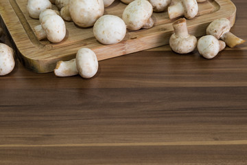 mushroom concept. kitchen art. mushrooms and kitchen concept. mushrooms on the wooden background.