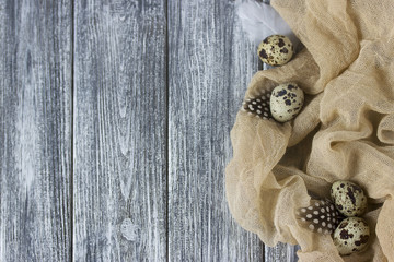 Easter decoration with quail eggs beige fabric gray wooden background.