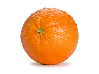Orange fruit under water drops, close-up