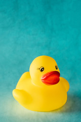 Yellow rubber duck toy on blue background