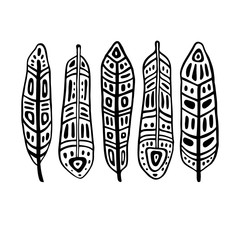Ethnic Feathers Set. Hand drawn vector illustration. Design element