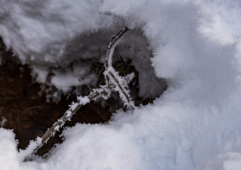 Branch in frost in the snow over the stream