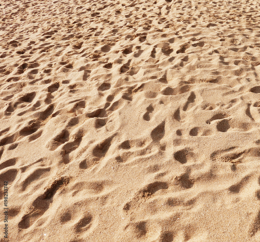 Wall mural beach sand background