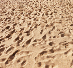 Beach sand background