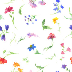 Watercolor wildflowers seamless pattern on white. Hand drawing artistic summer or spring illustration with little soft colorful blooming flower background.