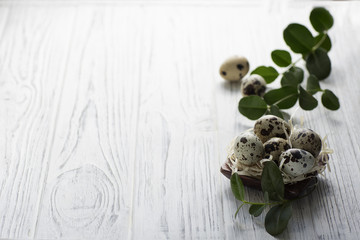 Eggs in the nest on white wooden background.