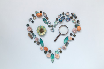 Heart symbol made of various natural things and magnifier. Explore and love nature concept. Flat lay.