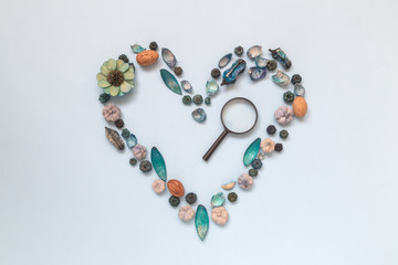Heart symbol made of various natural things and magnifier. Explore and love nature concept. Flat lay.