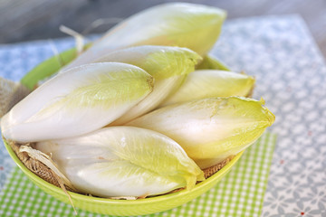 endive,salade 