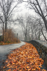 Late Fall at Fort Tryon Park