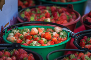 Fototapeta na wymiar fresh strawberry from the farm to sell in the market on Mon Jam tribal village in Chiang Mai