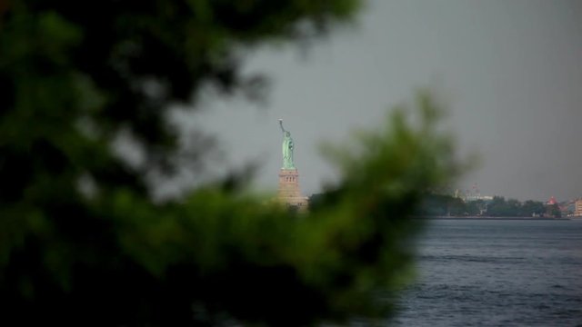 Statue Of Liberty Beyond Tree