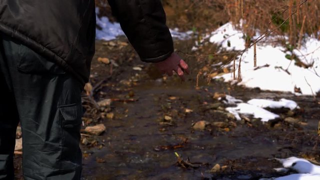 Man goes through creek, touches hazel buds and goes into distance - (4K)