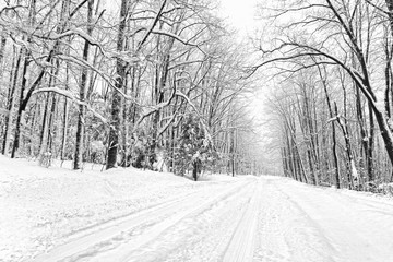 Heading for Davis West Virginia