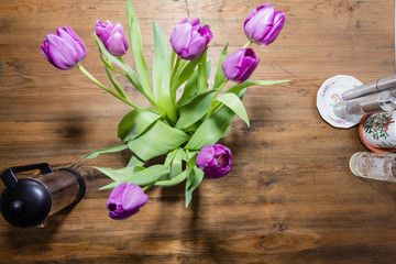 Ein Strauß mit Lila Tulpen auf einem Holztisch